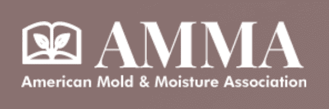 AMMA Logo
